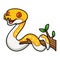 Cute albino pied reticulated python cartoon on tree branch