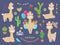 Cute alpaca. Funny cartoon llama, peru baby lamas and cacti flowers. Wild alpacas animals characters