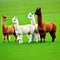 A cute alpaca herd grazes on green grass generated