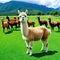 A cute alpaca herd grazes on green grass generated