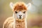 cute alpaca portrait, generative ai illustration