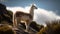 Cute alpaca standing in mountain pasture, grazing generated by AI