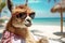 cute alpaca with sunglasses on beach
