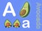 Cute alphabet letter A is for Avocado in fruits and veggies flashcard collection for preschool kid learning English vocabulary