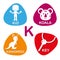Cute alphabet in vector. K letter for kid, koala, kangaroo and key