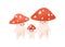Cute amanita family. Happy fairytale fly agarics, parents and child. Funny fairy tale mushrooms with adorable faces
