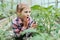 Cute amazing adorable Caucasian girl looking at plants grass in greenhouse through magnifying glass.