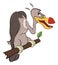 Cute American condor illustration. Cartoon