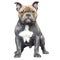 Cute American Pitbull Puppy Watercolor Clipart Illustration AI Generative