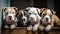 Cute American Staffordshire Terrier puppies sit in row and pose looking at camera. Generative AI
