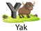 Cute ancient animals alphabet Y for Yak with the good animation beside