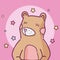 Cute animal bear cartoon