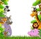 Cute animal cartoon with tropical forest background