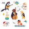 Cute Animal Characters Playing Musical Instruments Performing Concert Vector Set