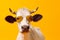 cute animal head character face cow funny portrait sunglasses colourful. Generative AI.