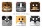 Cute Animal Icon Sticker. Horse, Rhino, Wild Boar, Chipmunk, Cat, Wolf