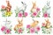 Cute animal. Set bunnies on isolated white background, bunny with flowers, leaves watercolor illustration. Easter rabbit