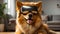 Cute animal simulator dog wearing virtual pet glasses gadget funny portrait fun concept