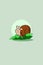 Cute animal snails eat grass character design illustration