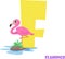 Cute Animal Zoo Alphabet. Letter F for flamingo