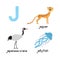 Cute Animal Zoo Alphabet. Letter J for Jaguar, jellyfish, Japanese crane .