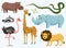 Cute animals for baby. Wild giraffe rhinoceros. ostrich and skunk. snake and hippopotamus. lion and tiger. vintage world
