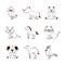 Cute animals cartoons icons