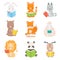 Cute Animals Characters Reading Books Set, Adorable Smart Cat, Panda Bear, Lion, Lamb, Fox, Wolf, Bunny, Deer Sitting