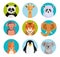 Cute animals in colored round badges