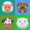 Cute animals emotions icons fun set face happy character emoji comic adorable pet and expression smile