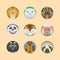 Cute animals emotions icons isolated fun set face happy character emoji comic adorable pet and expression smile