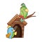 Cute animals, green and blue parrots in branch cartoon