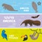 Cute animals set anteater manatee sea cow sloth toucan bat Hyacinth macaw, kids background, South America animals Lake Titicaca, A