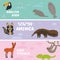 Cute animals set anteater manatee sea cow sloth toucan chameleon raccoon Maned wolf, kids background, South America animals Lake T