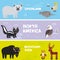 Cute animals set crocodile alligator skunk polar bear elk fox narwhal bison gannet eagle, kids background North America animals,