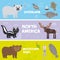 Cute animals set crocodile alligator skunk polar bear elk hare rabbit parrot Manatee narwhal fur seal partridge, kids background N