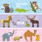 Cute animals set elephant Camel chameleon horse monkey lemur elephant leopard tortoise Grouse elk snake, kids background Asia anim