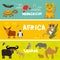 Cute animals set, leopard turtle crab penguin lemur bull hippo hyena parrot tsetse fly crab camel kids background African animals,