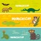 Cute animals set Turtle bat crocodile chameleon snake lemur, kids background African animals, Africa Madagascar bright colorful ba