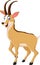 Cute Antelope cartoon smilling