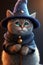 Cute anthropomorphic cat in wizard costume. Cat magician.