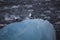 Cute arctic birds resting on a small iceberg. Svalbard