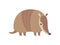 Cute Armadillo Pleistocene Animal Cartoon Vector Illustration