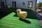 Cute artificial sheep outdoors. Mockup of animal. Decoration for the yard