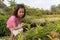 A cute Asian girl in pink, 4 to 6 years old, is walking in the garden. Nursery In the hand there is a book and pen She is taking