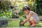 Cute Asian small girl playing with a potted plant