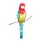 Cute Australia Eastern Rosella bird. Tropic parrot illustration isolated on white background