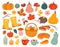 Cute autumn elements. Fall pumpkin, hedgehog november forest leaves. Thanksgiving and harvest season, cozy decoration