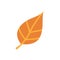 Cute autumn fallen orange leaf. Autumnal clipart or element for greeting card design. Seasonal object, element to Thanksgiving,