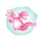 Cute axolotl, Ambystoma mexicanum, cartoon style vector illustration. Pink friendly axolotl. Logo in fashionable cartoon